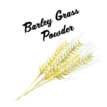 Barley Grass Powder