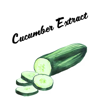 Cucumber Extract