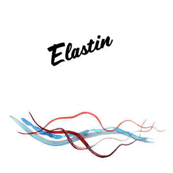 Elastin Aloe Glows