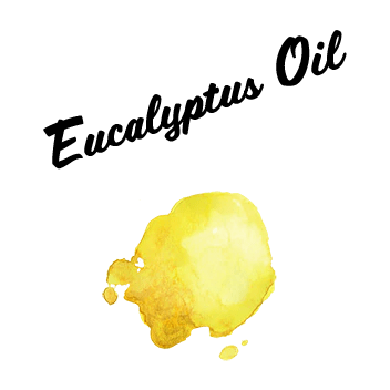 Eucalyptus Oil Aloe Glows