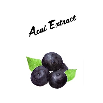 Acai Extract 