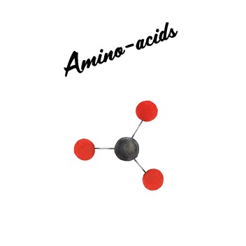 Amino-acids
