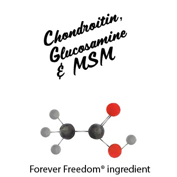 Chondroitin, Glucosamine & MSM