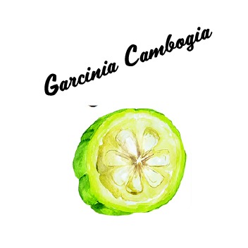 Garcinia Cambogia
