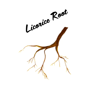 Licorice Root
