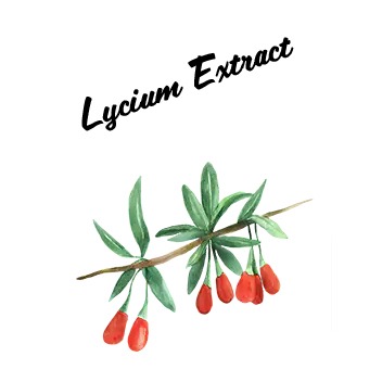 Lycium Extract 