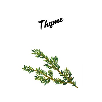 Thyme