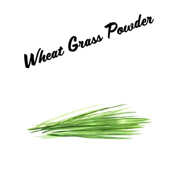 Wheat Grass Powder 