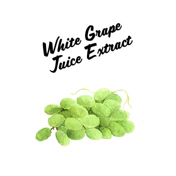 White Grape Juice Extract